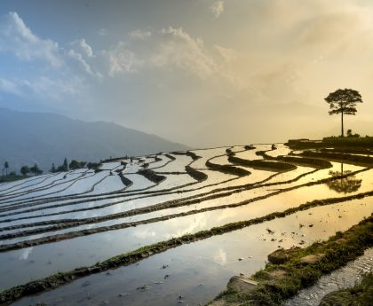 dijual-tanah-di-busungbiu-buleleng-terletak-di-busungbiu-kabupaten-buleleng