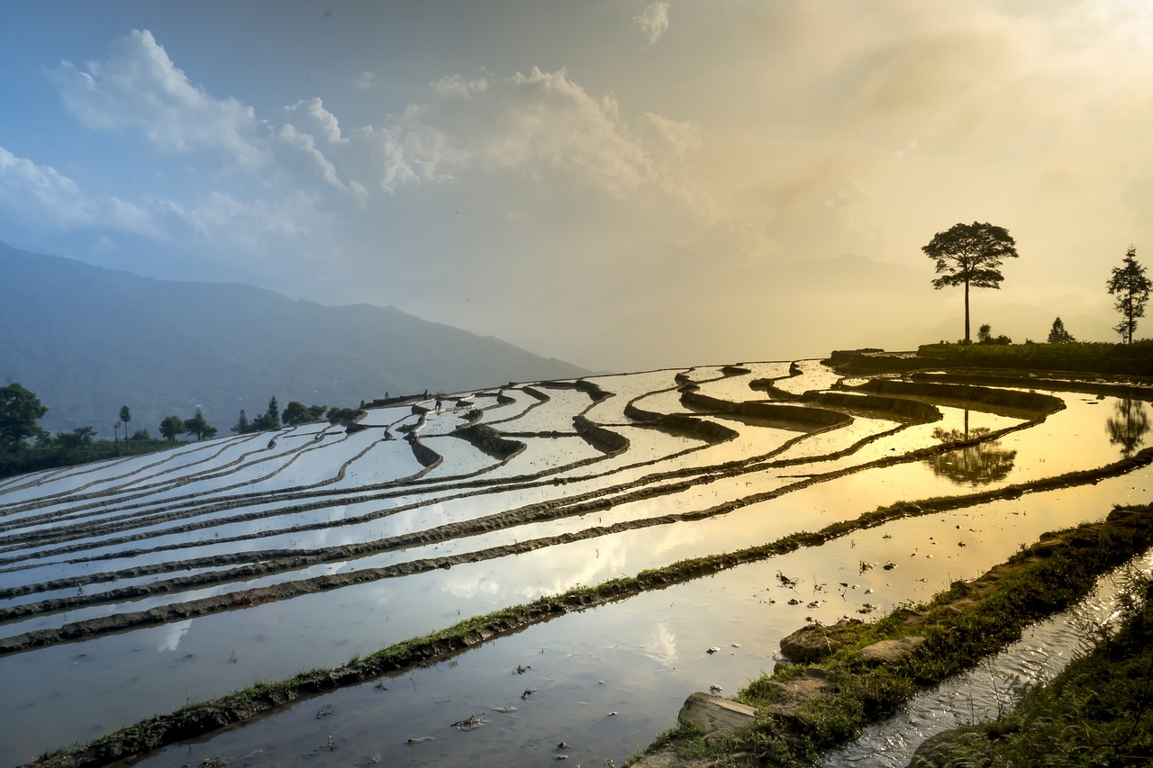 dijual-tanah-di-busungbiu-buleleng-terletak-di-busungbiu-kabupaten-buleleng